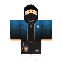 skins do roblox boy